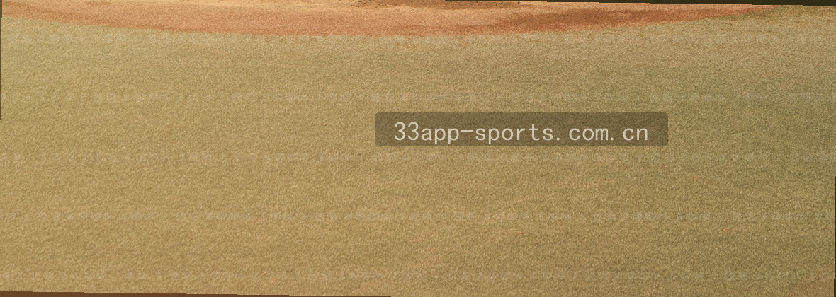体育登录中国官网 33APP 极致服务